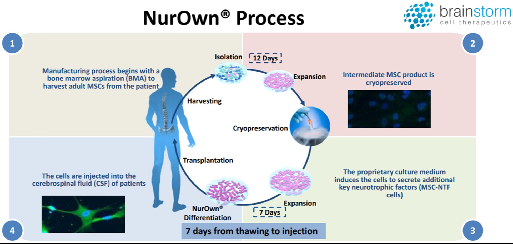 NurOwn process