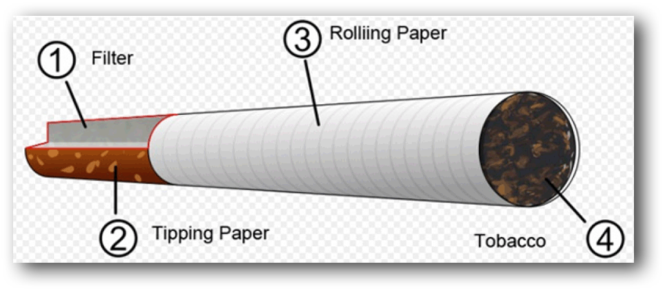 The Paper Trail - World Money Analyst | Mauldin Economics