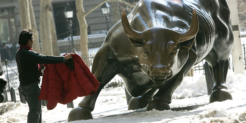 A Compelling Case for the Bulls