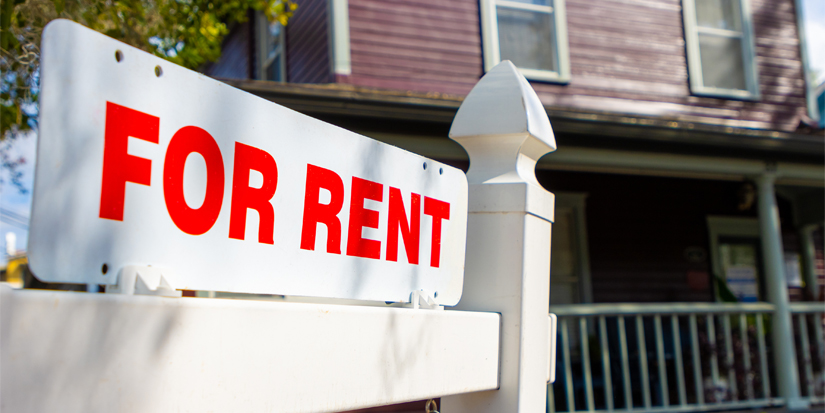 The Zombies Are Coming