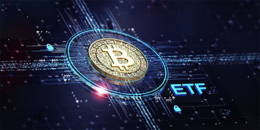 Can Reader Feedback Change My Mind?