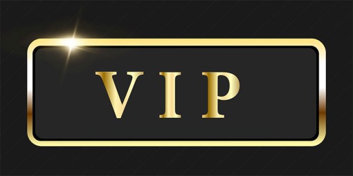 VIP Status Is the Secret to 2025