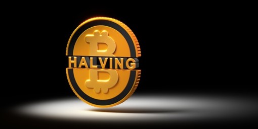 The bitcoin halving 101
